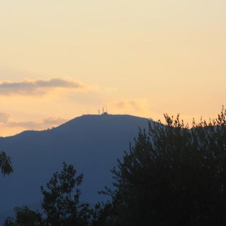 La Quercia Agriturismo Imperia Exteriér fotografie